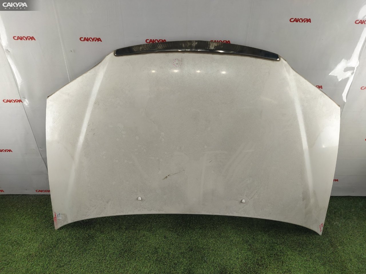 Капот Honda Odyssey RA6 F23A: купить в Сакура Красноярск.