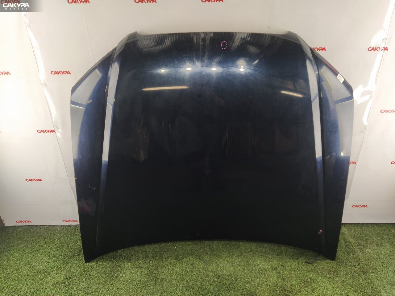Капот Audi A4 8ED ALT: купить в Сакура Красноярск.