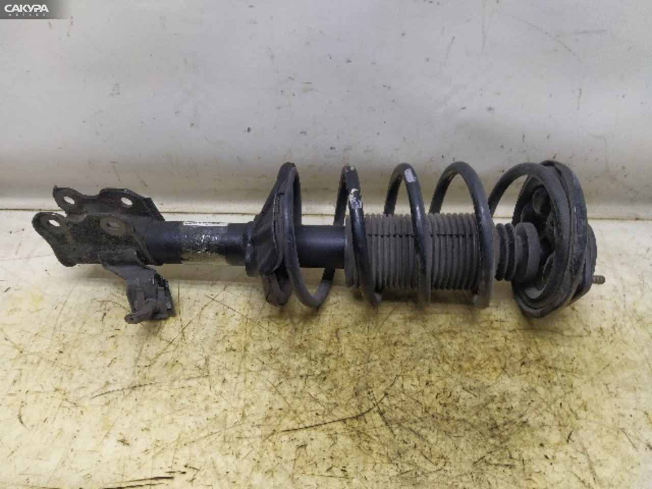 Стойка подвески передняя правая Nissan Pulsar FN14 GA15DS: купить в Сакура Красноярск.