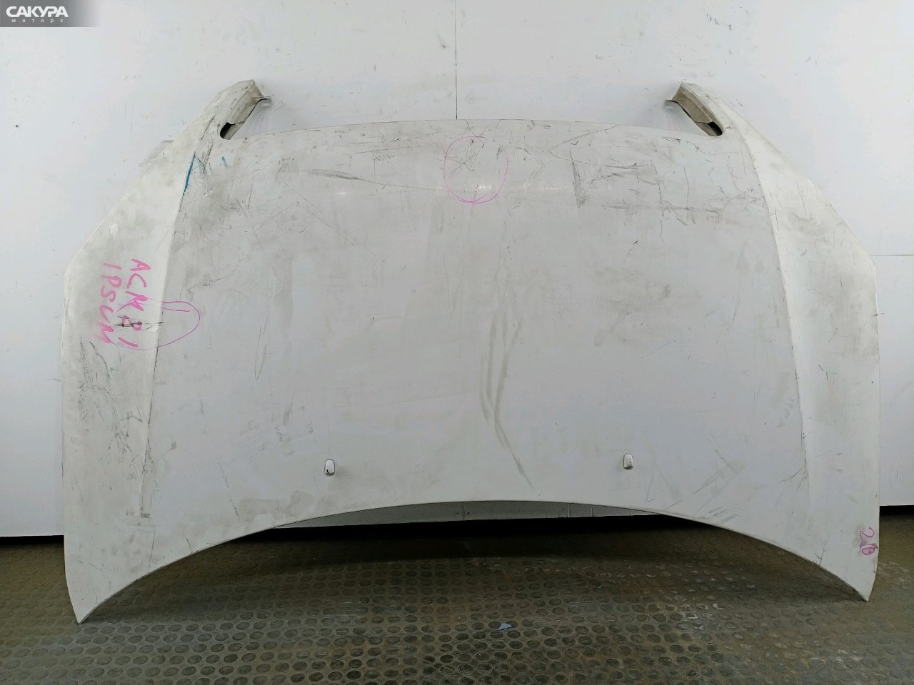 Капот Toyota Ipsum ACM21W 2AZ-FE: купить в Сакура Красноярск.