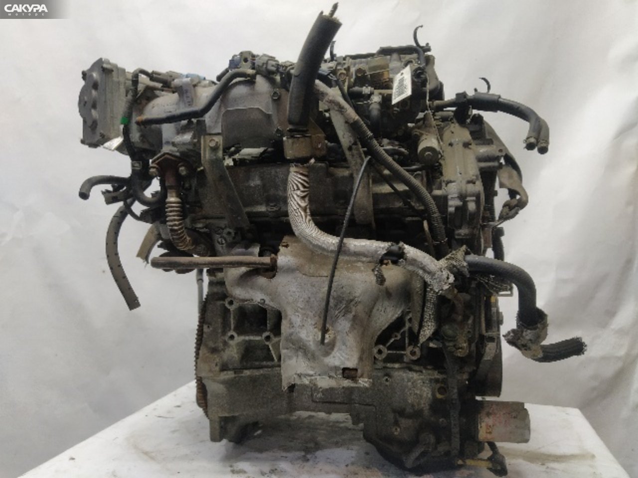 Двигатель Nissan Cefiro PA33 VQ25DD: купить в Сакура Красноярск.