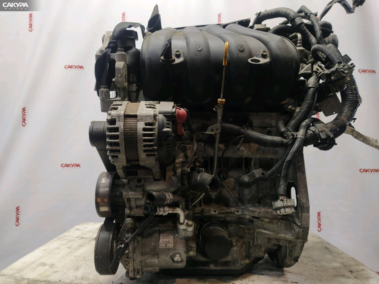 Двигатель Nissan AD Expert VJY12 MR18DE: купить в Сакура Красноярск.