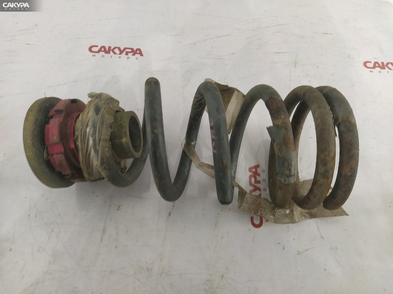 Пружина подвески передняя Honda Odyssey RA6 F23A: купить в Сакура Красноярск.
