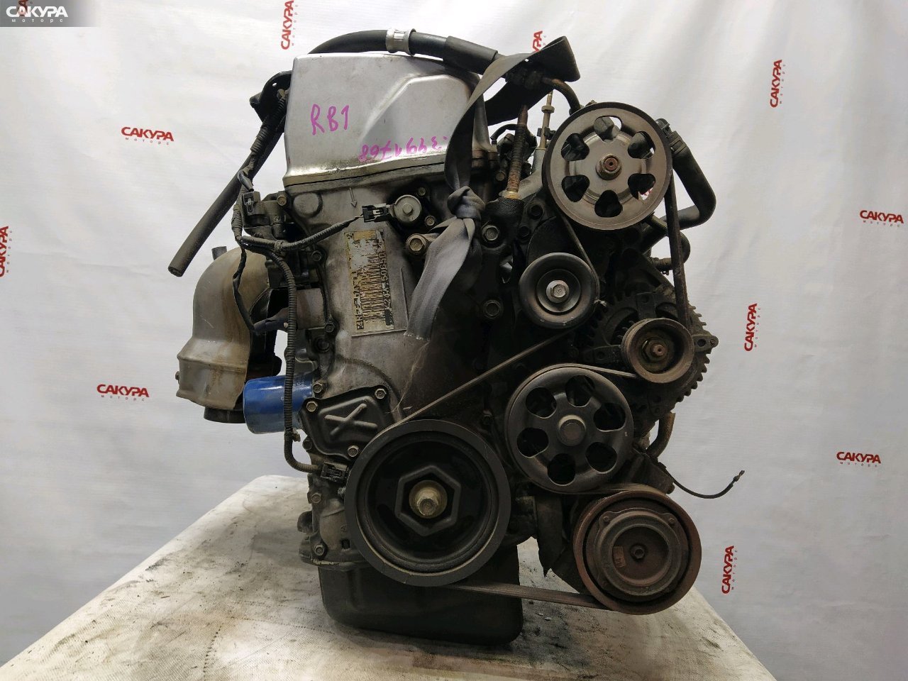 Двигатель Honda Odyssey RB1 K24A: купить в Сакура Красноярск.
