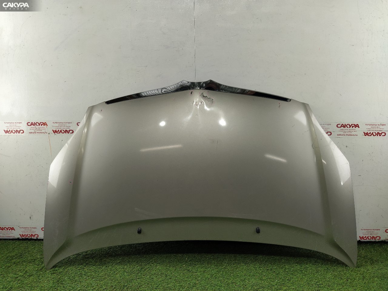 Капот Toyota Corolla Spacio NZE121N 1NZ-FE: купить в Сакура Красноярск.