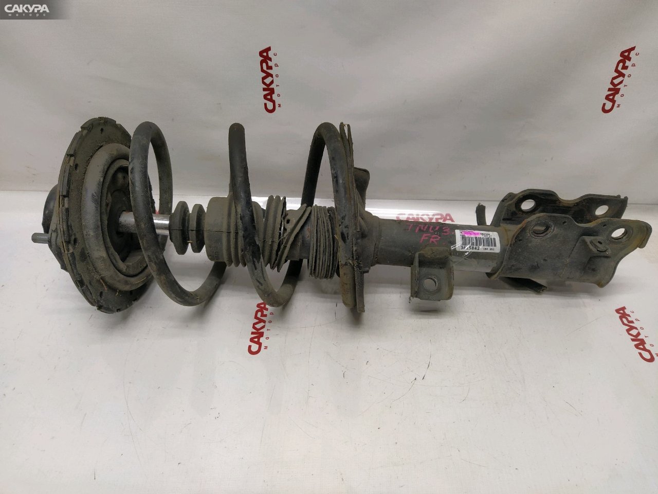 Стойка подвески передняя правая Nissan TNU31 QR25DE: купить в Сакура Красноярск.