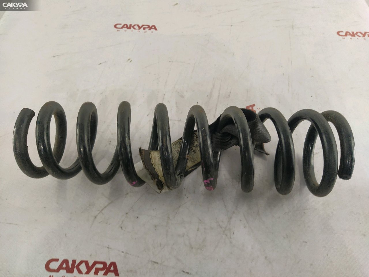 Пружина подвески передняя Honda Odyssey RA3 F23A: купить в Сакура Красноярск.