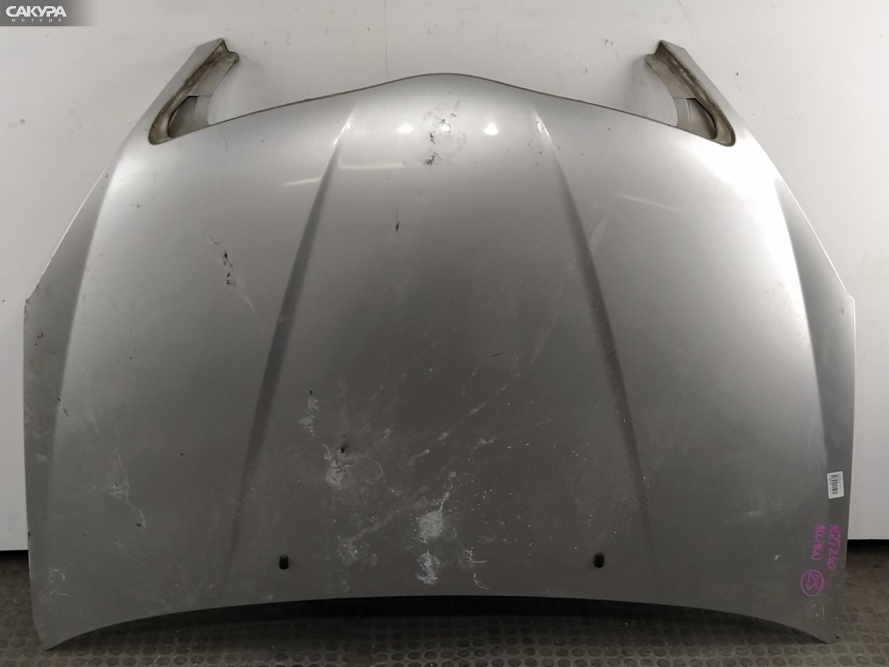 Капот Toyota Allion NZT240 1NZ-FE: купить в Сакура Красноярск.