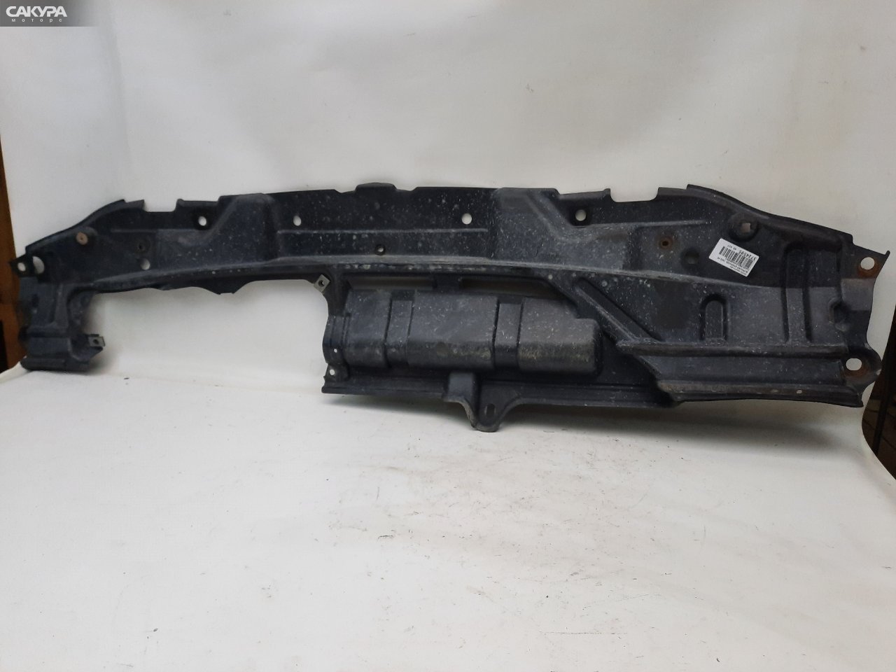 Защита бампера Toyota Alphard MNH10W 1MZ-FE: купить в Сакура Красноярск.
