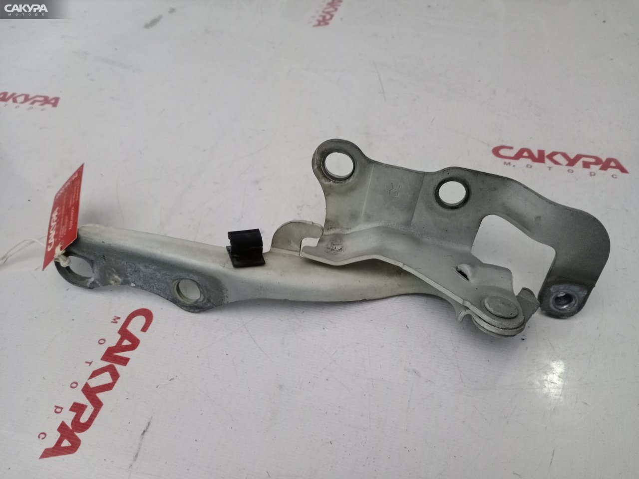 Кронштейн капота правый Toyota Ipsum ACM21W 2AZ-FE: купить в Сакура Красноярск.
