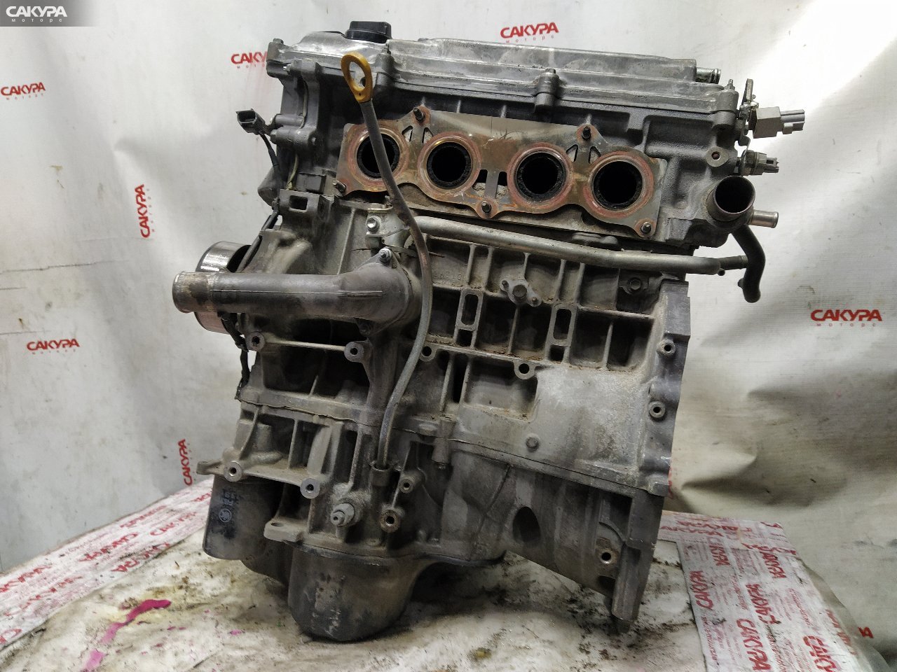 Двигатель Toyota Noah AZR60G 1AZ-FSE: купить в Сакура Красноярск.