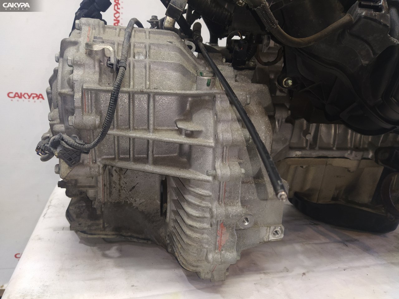 АКПП Toyota Estima ACR50W 2AZ-FE: купить в Сакура Красноярск.