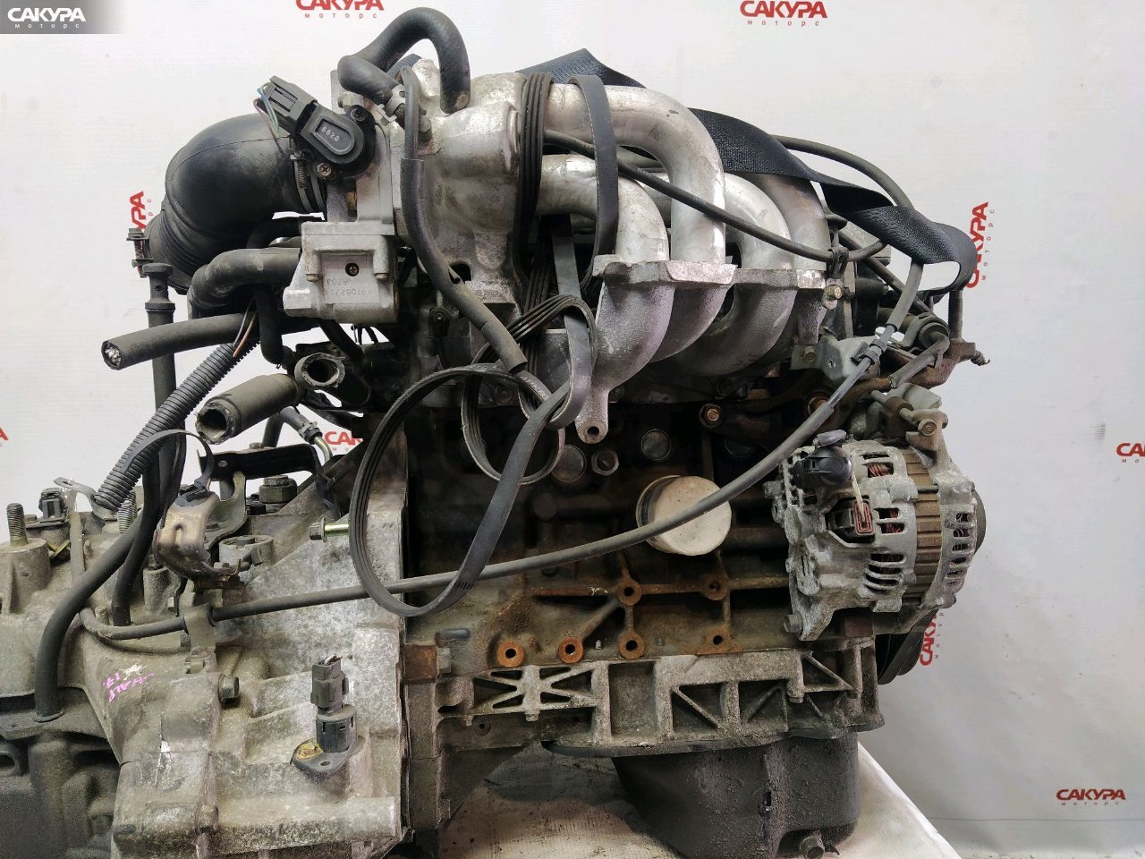 Двигатель Mazda Familia BHALP Z5-DE: купить в Сакура Красноярск.