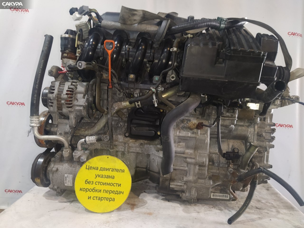 Двигатель Honda FIT GD1 L13A: купить в Сакура Красноярск.