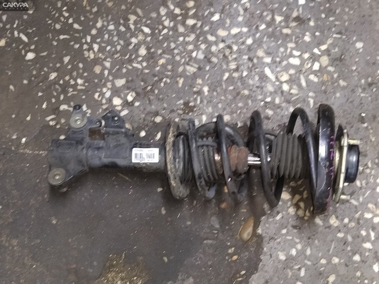 Стойка подвески передняя правая Nissan Primera TP12 QR20DE: купить в Сакура Красноярск.
