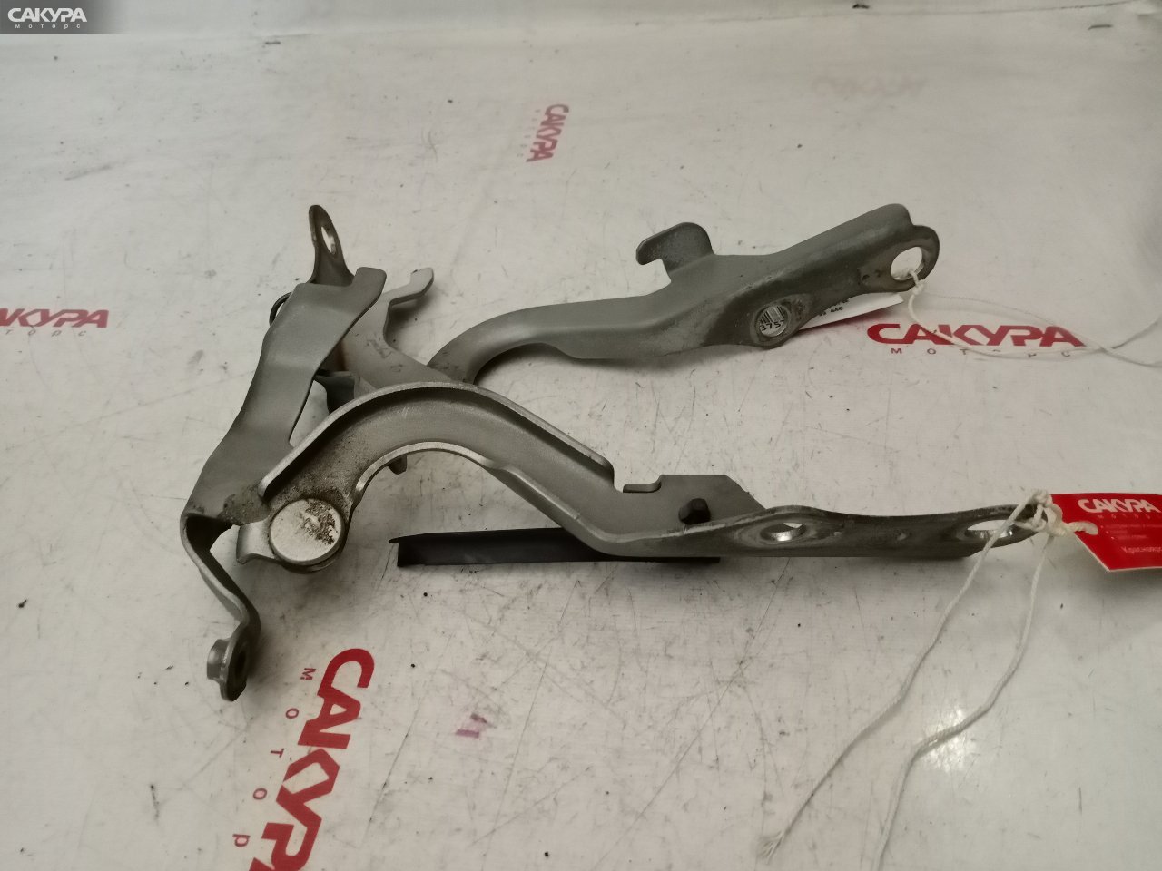 Кронштейн капота правый Toyota Corolla Spacio NZE121N 1NZ-FE: купить в Сакура Красноярск.