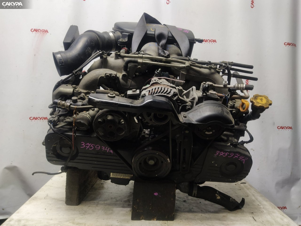 Двигатель Subaru Legacy BP5 EJ203: купить в Сакура Красноярск.