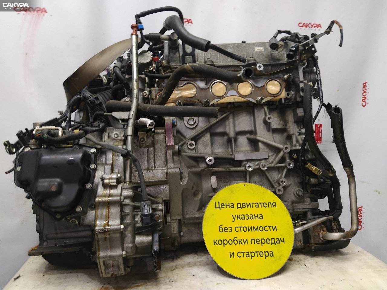 Двигатель Mazda Premacy CREW LF-VD: купить в Сакура Красноярск.