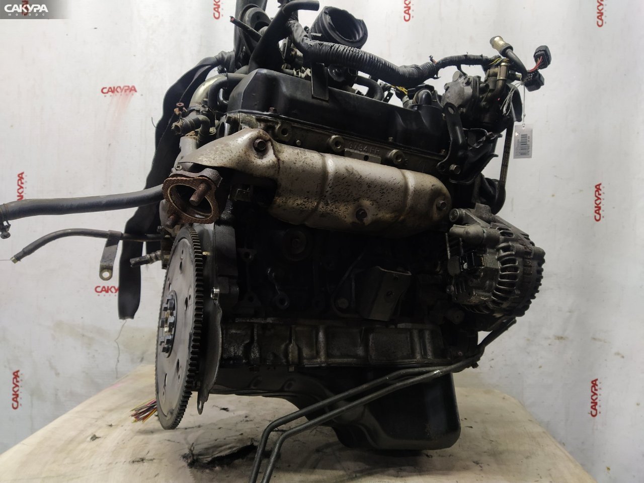 Двигатель Mitsubishi Space Gear PD6W 6G72: купить в Сакура Красноярск.