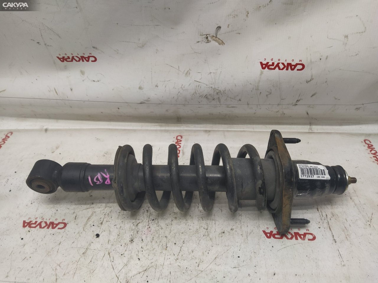 Стойка подвески задняя правая Honda Odyssey RB1 K24A: купить в Сакура Красноярск.