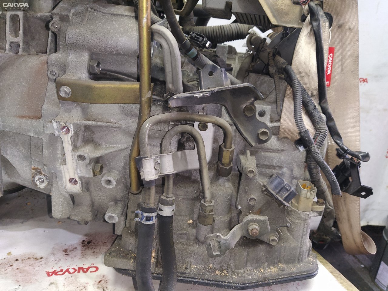 АКПП Toyota Gaia ACM15G 1AZ-FSE: купить в Сакура Красноярск.