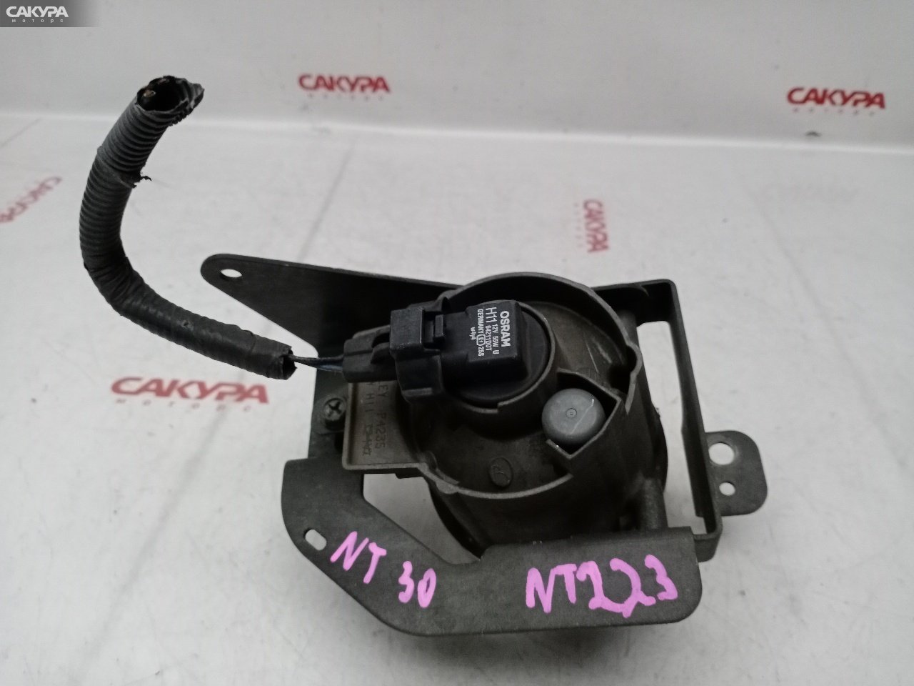 Фара противотуманная правая Nissan X-TRAIL NT30 QR20DE P4235: купить в Сакура Красноярск.