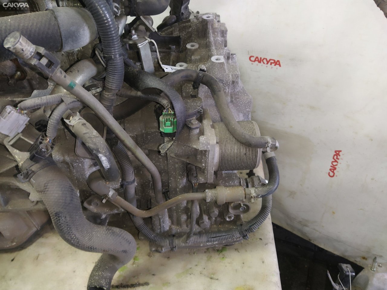 АКПП Nissan X-TRAIL TNT31 QR25DE: купить в Сакура Красноярск.