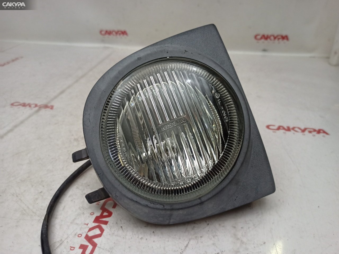 Фара противотуманная правая Nissan March K11 CG10DE 2167: купить в Сакура Красноярск.