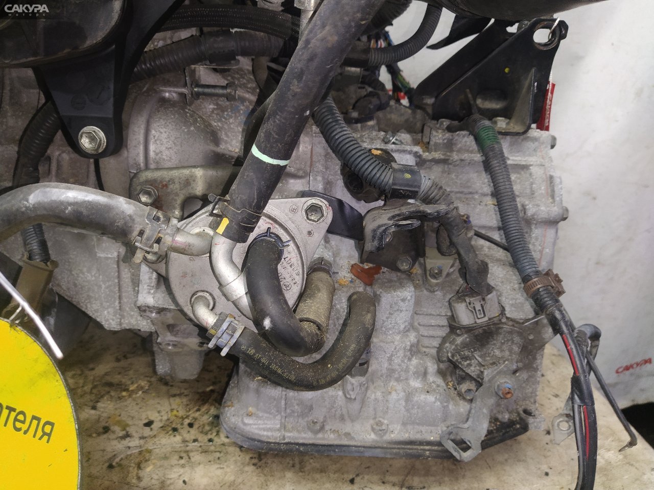 АКПП Toyota Wish ZNE10G 1ZZ-FE: купить в Сакура Красноярск.