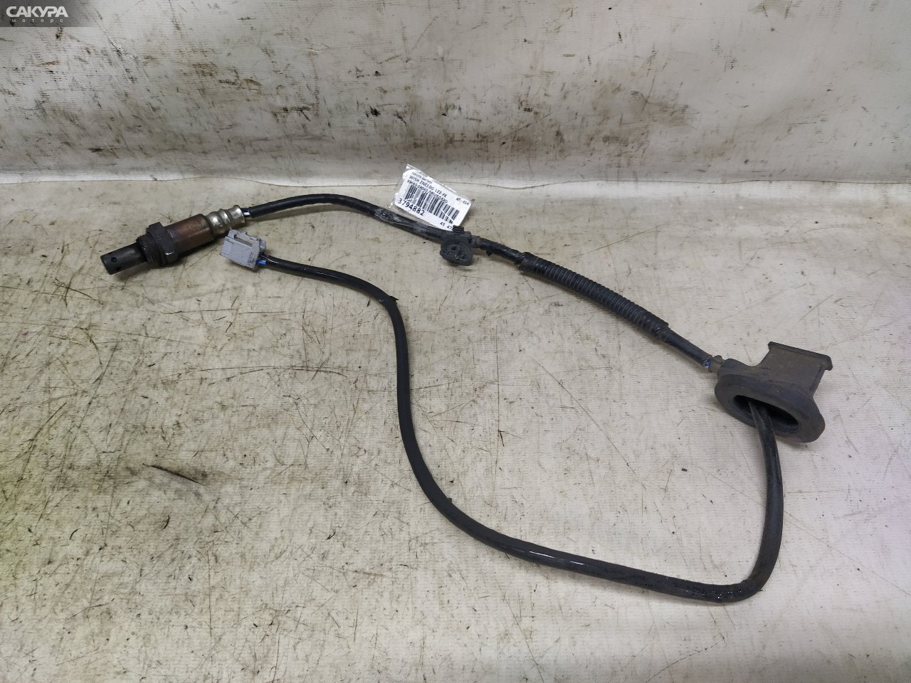 Лямбда-зонд Toyota Wish ZNE10G 1ZZ-FE: купить в Сакура Красноярск.