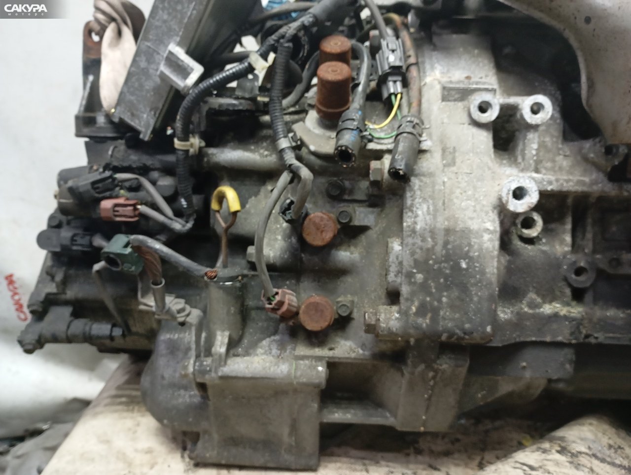 АКПП Honda Odyssey RA6 F23A: купить в Сакура Красноярск.