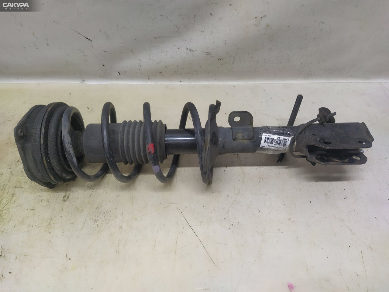 Стойка подвески передняя левая Nissan March AK12 CR12DE: купить в Сакура Красноярск.