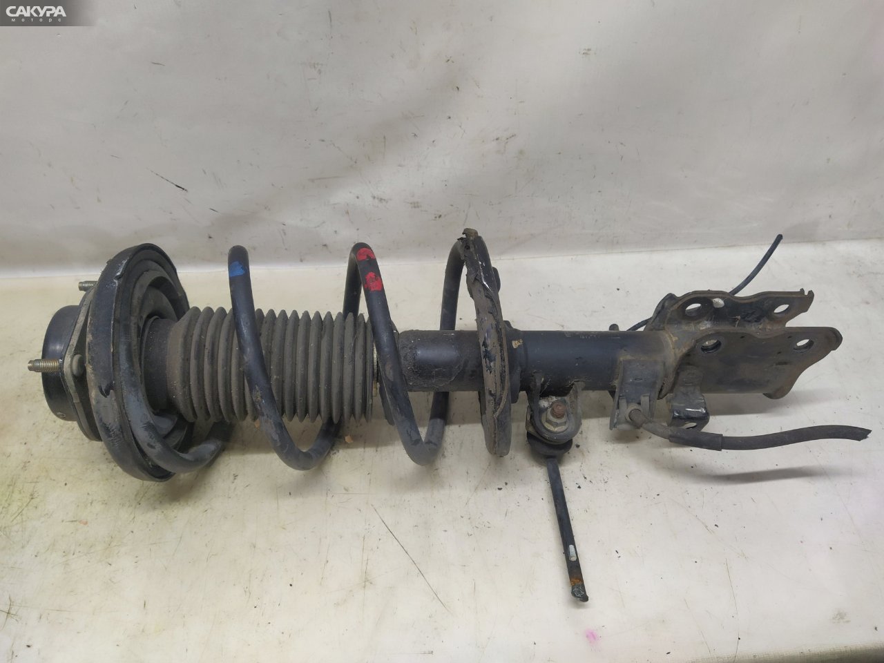 Стойка подвески передняя левая Nissan Elgrand NE51 VQ35DE: купить в Сакура Красноярск.