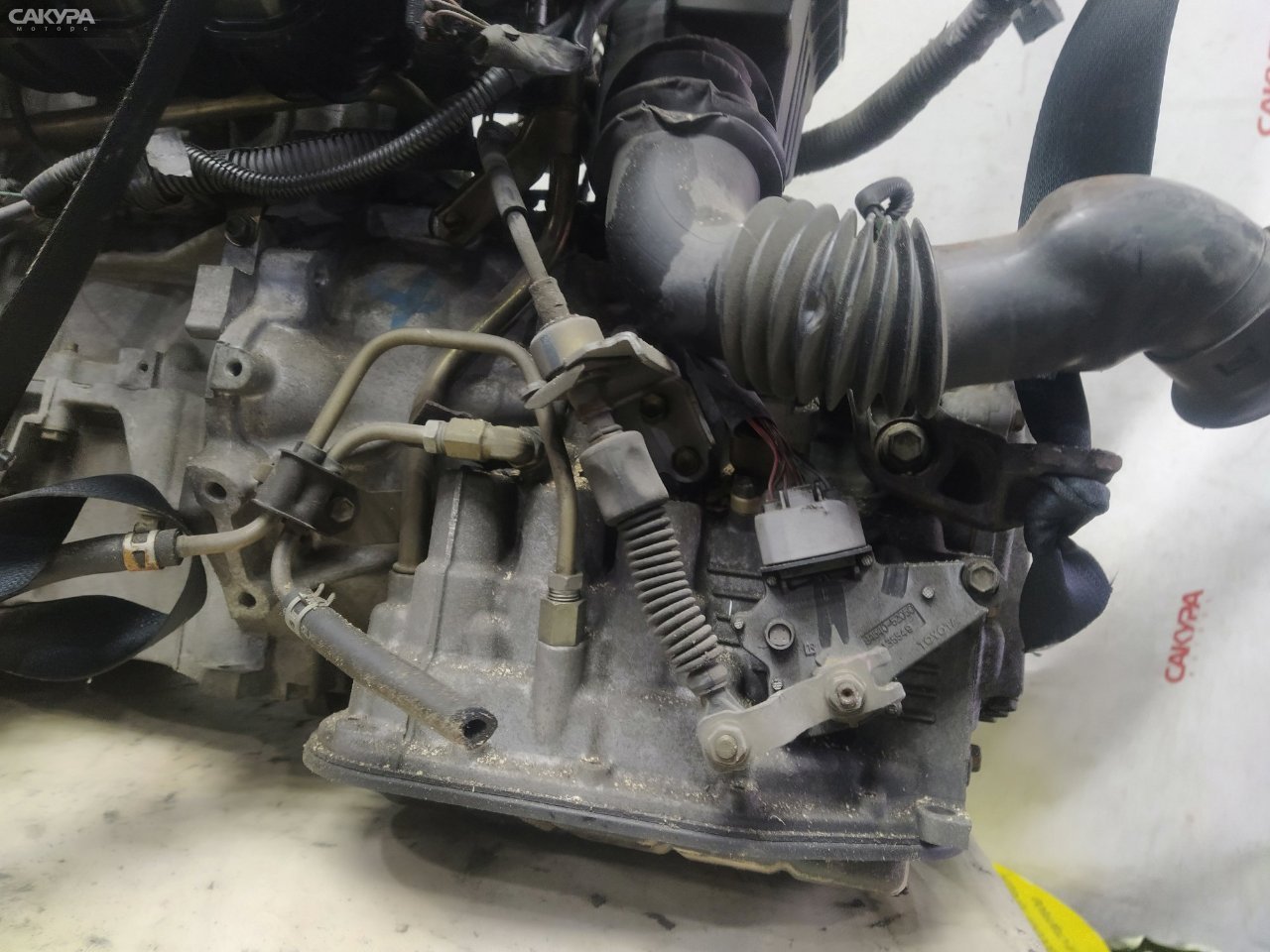 АКПП Toyota Platz NCP12 1NZ-FE: купить в Сакура Красноярск.