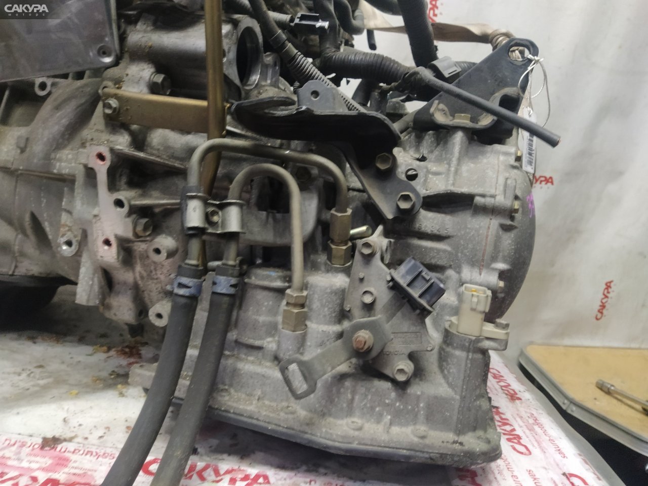 АКПП Toyota Gaia ACM10G 1AZ-FSE: купить в Сакура Красноярск.
