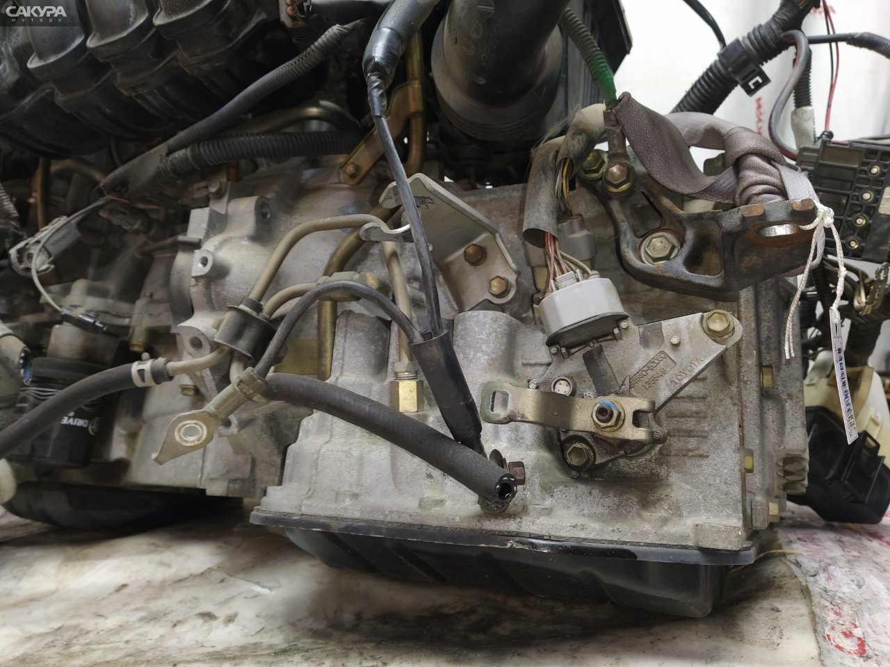 АКПП Toyota Platz NCP12 1NZ-FE: купить в Сакура Красноярск.