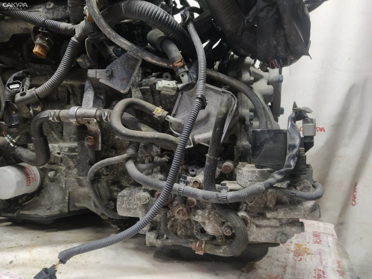 АКПП Nissan X-TRAIL NT32 MR20DD: купить в Сакура Красноярск.