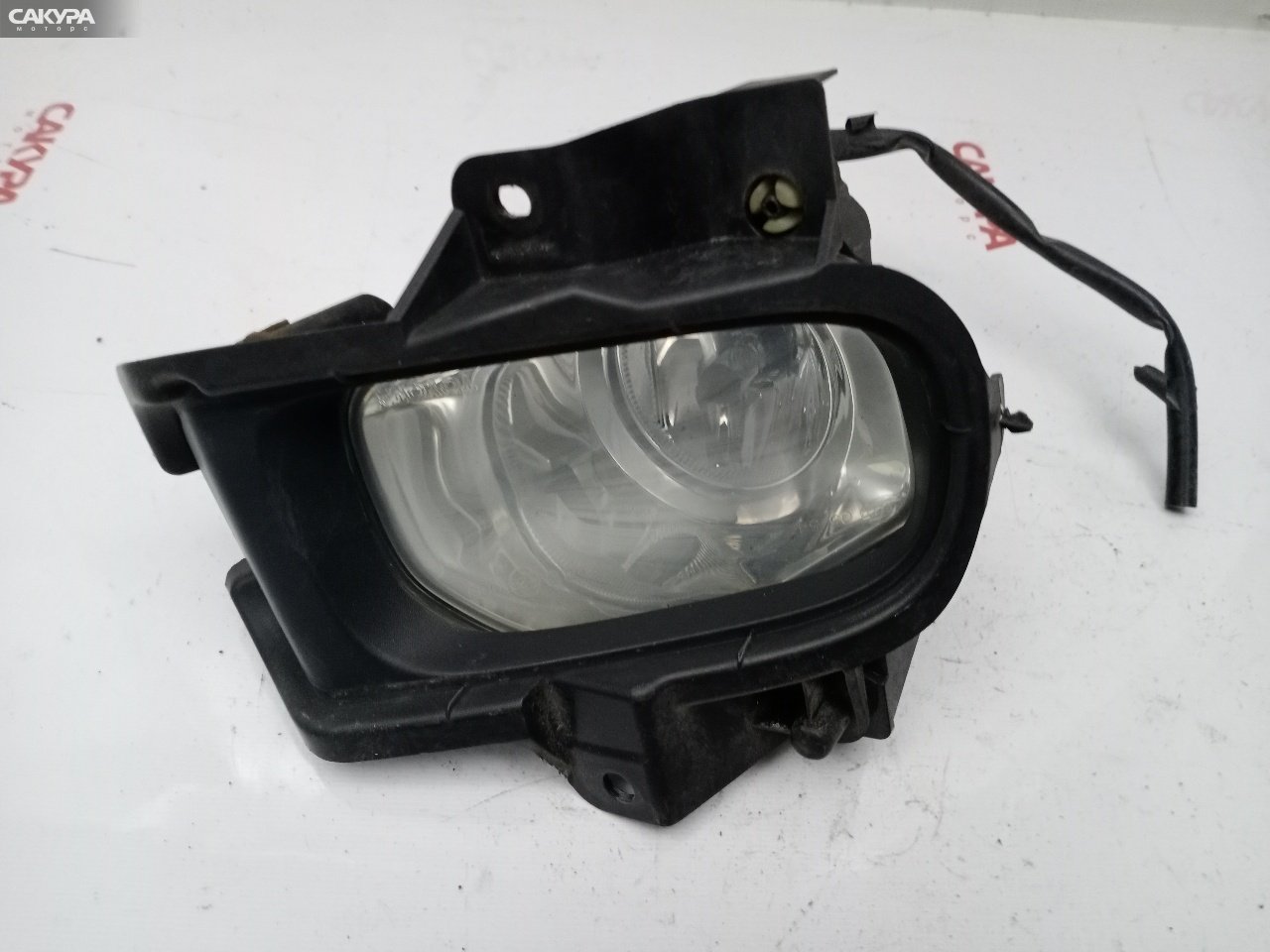 Фара противотуманная правая Toyota Premio ZZT245 1ZZ-FE 05-54: купить в Сакура Красноярск.