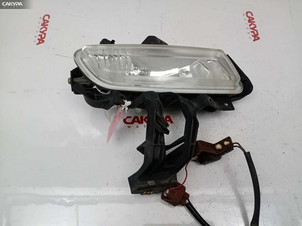 Фара противотуманная правая Mazda Axela BKEP LF-VE P6243: купить в Сакура Красноярск.