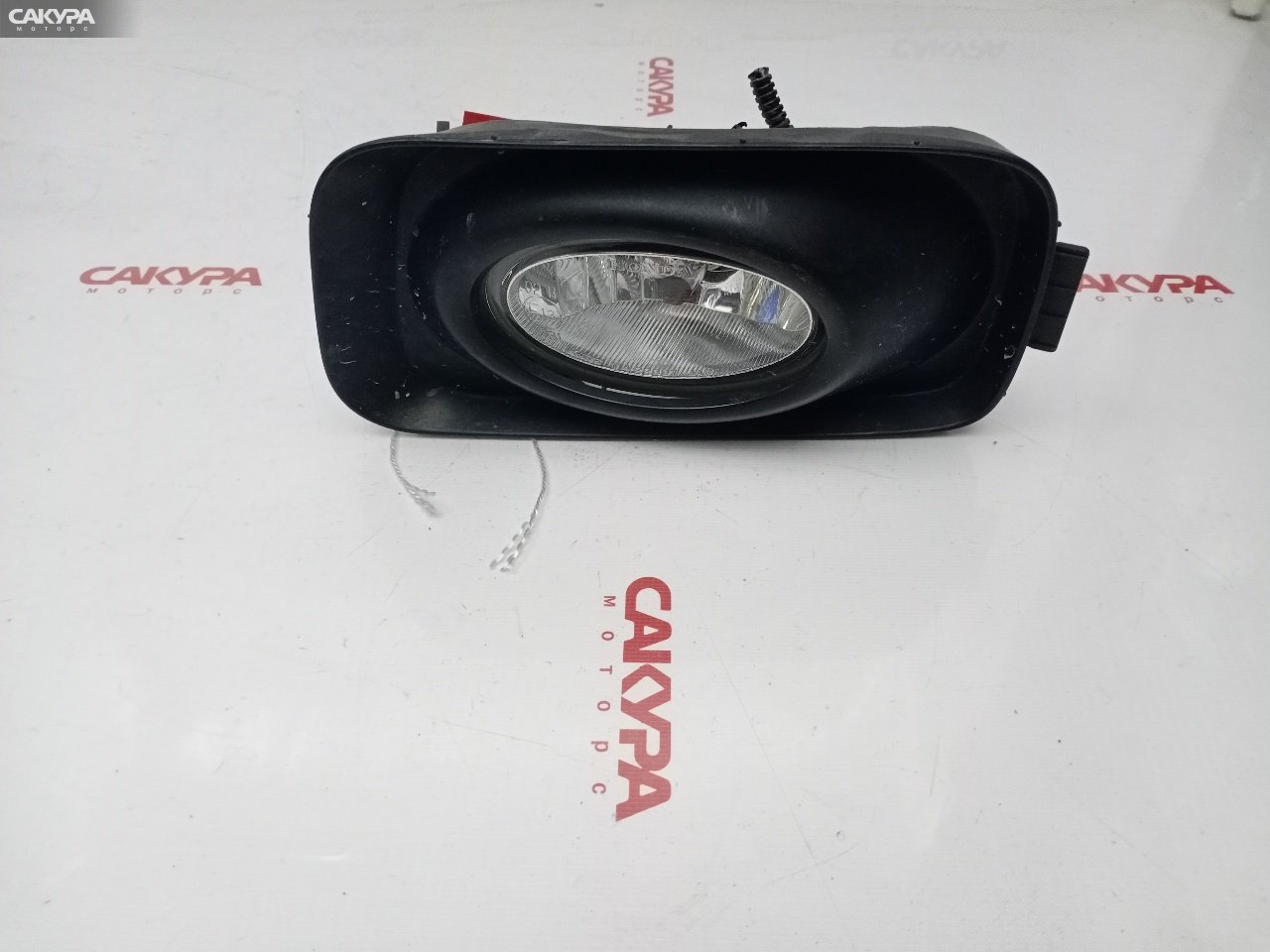 Фара противотуманная левая Honda Accord Wagon CM3 K24A 114-22397: купить в Сакура Красноярск.