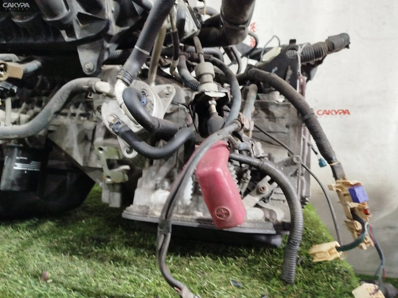 АКПП Toyota Wish ZNE10G 1ZZ-FE: купить в Сакура Красноярск.