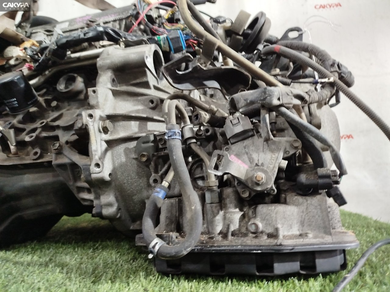 АКПП Toyota Gaia SXM15G 3S-FE: купить в Сакура Красноярск.