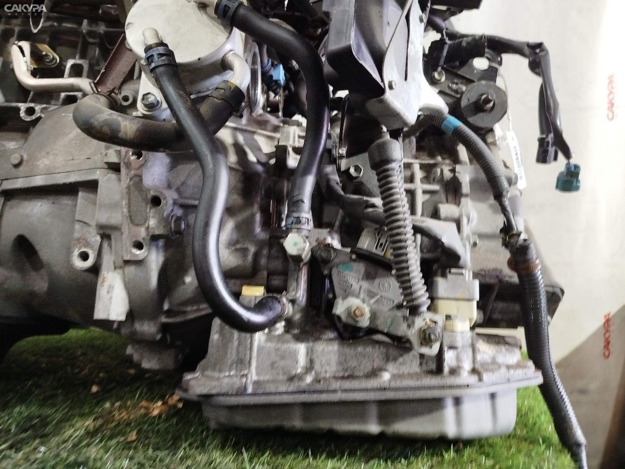 АКПП Toyota Wish ANE10G 1AZ-FSE: купить в Сакура Красноярск.