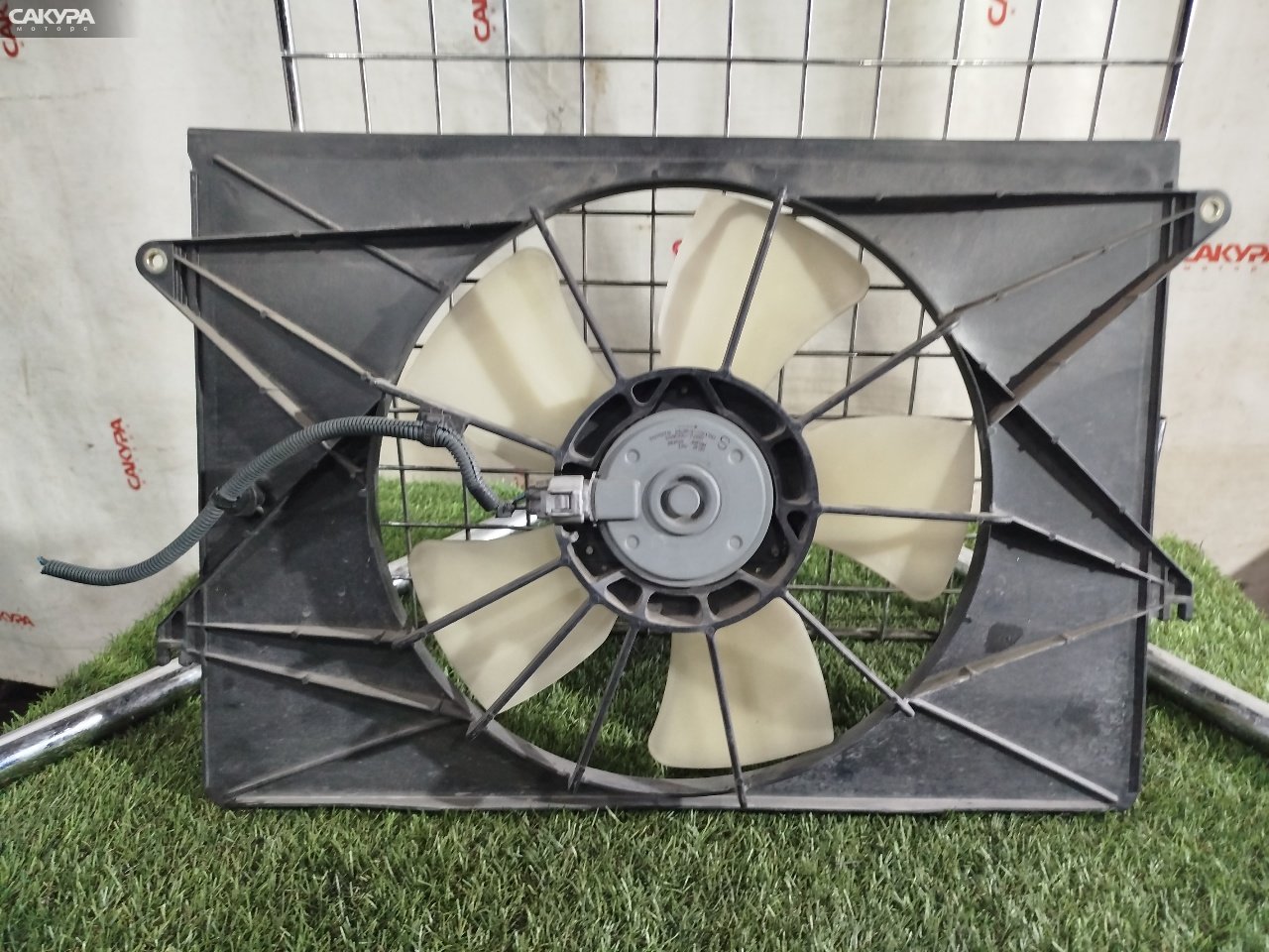 Вентилятор радиатора двигателя Toyota Wish ZNE10G 1ZZ-FE: купить в Сакура Красноярск.