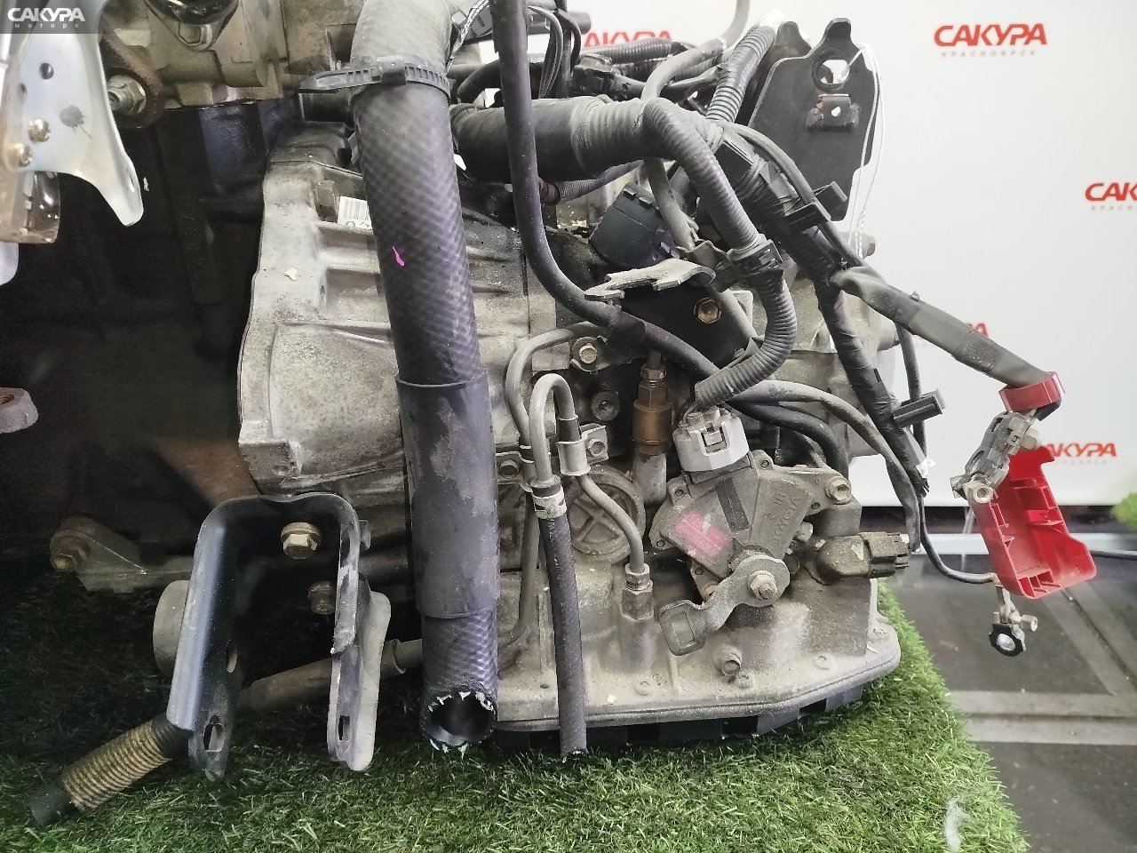 АКПП Toyota Corolla AE110 5A-FE: купить в Сакура Красноярск.