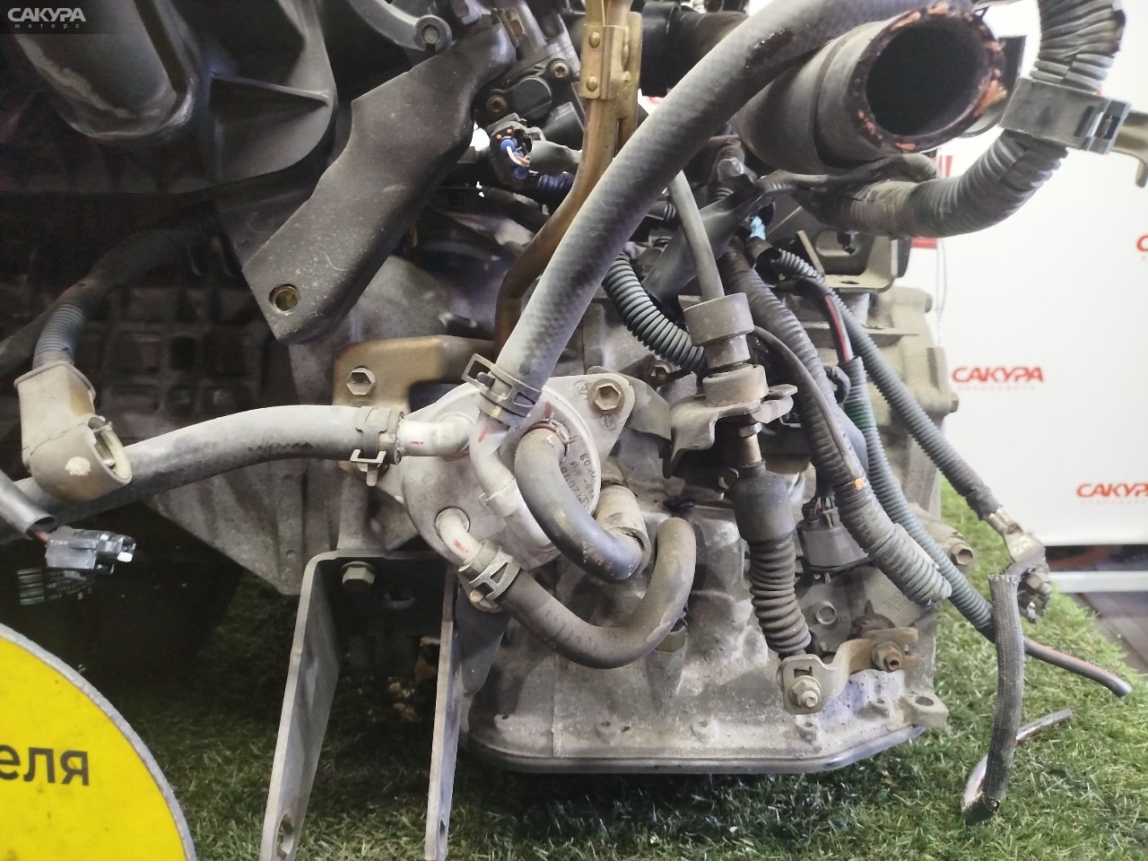 АКПП Toyota Wish ZNE10 1ZZ-FE: купить в Сакура Красноярск.