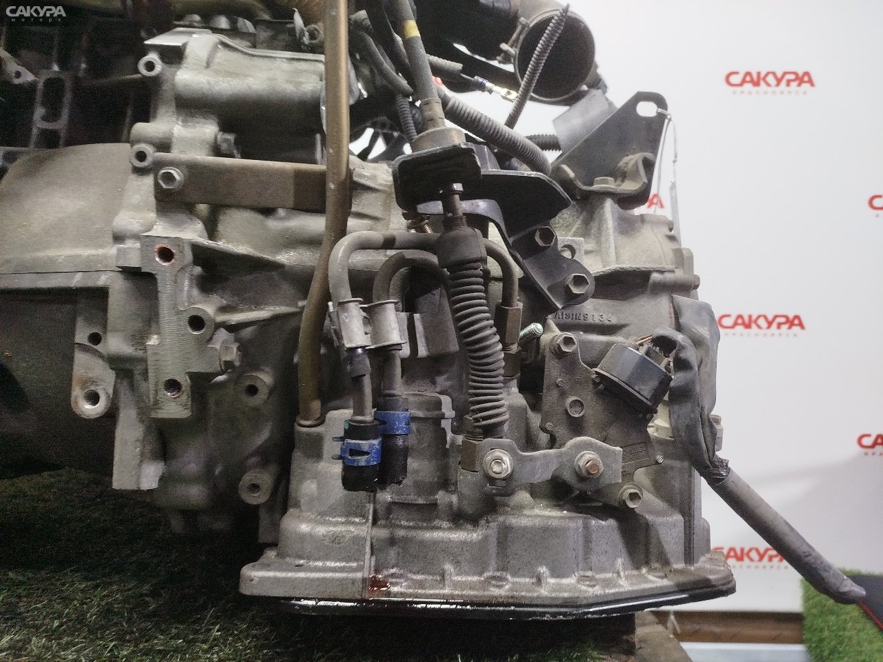 АКПП Toyota Gaia ACM10G 1AZ-FSE: купить в Сакура Красноярск.