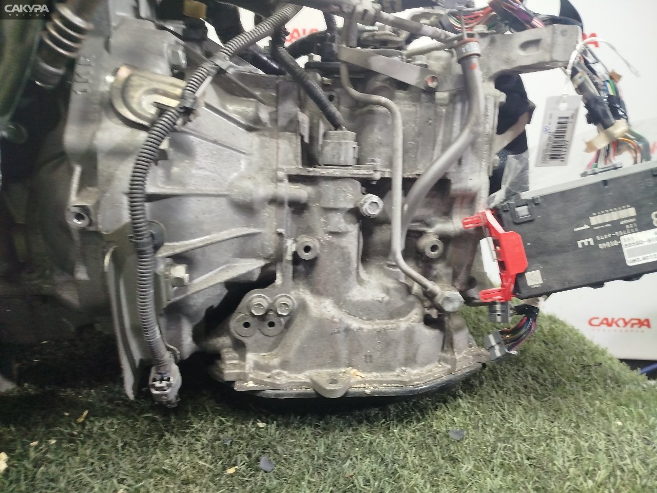 АКПП Toyota Passo KGC30 1KR-FE: купить в Сакура Красноярск.