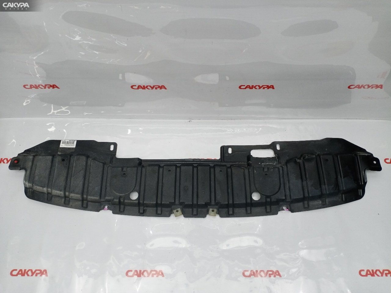 Защита бампера передняя Nissan Liberty PM12 SR20DE: купить в Сакура Красноярск.