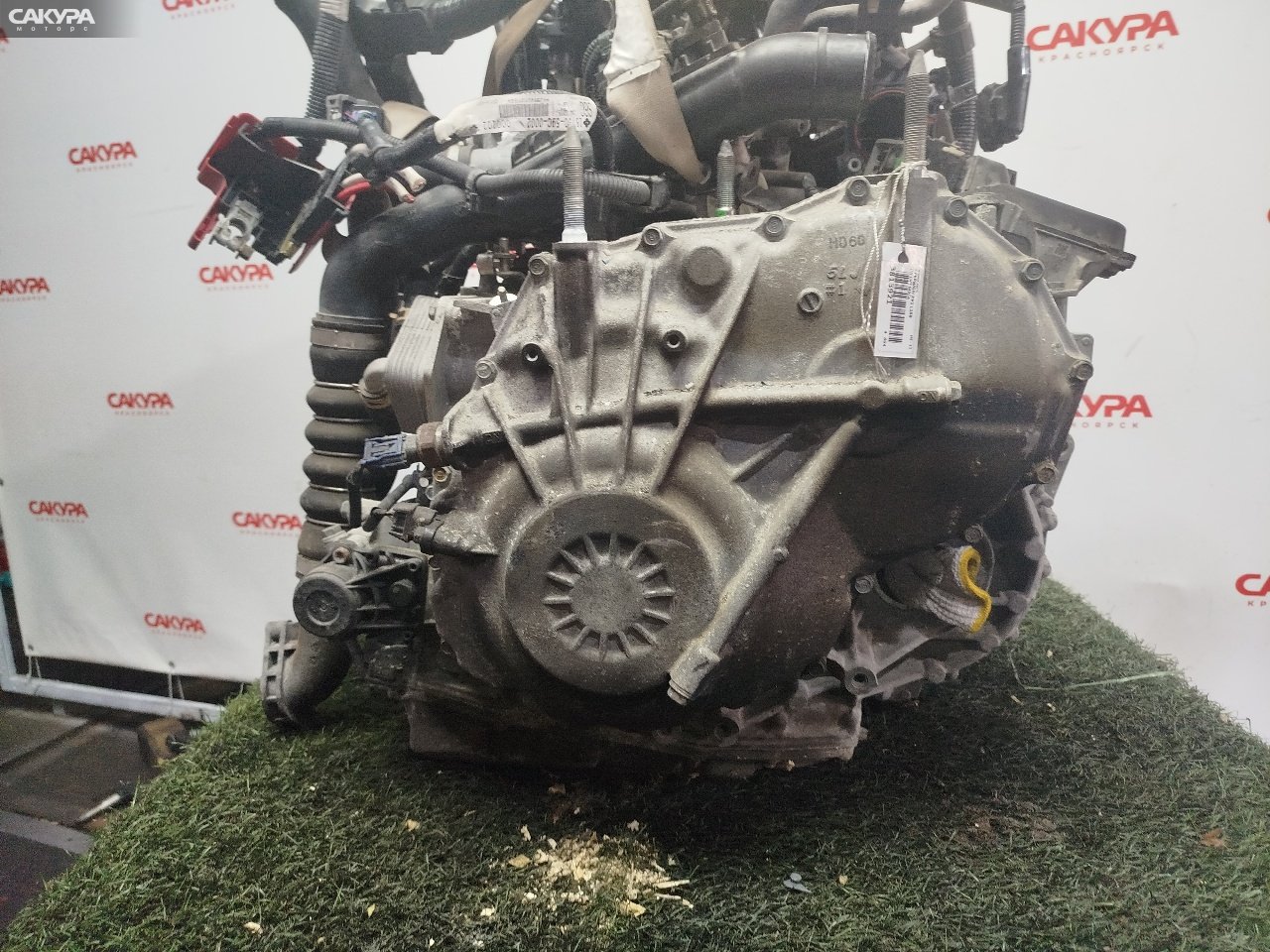 АКПП Honda Stepwgn RP1 L15B: купить в Сакура Красноярск.